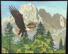 Paint by Number Painting of Bald Eagle Soaring in Mountain Landscape 16x20 PBN