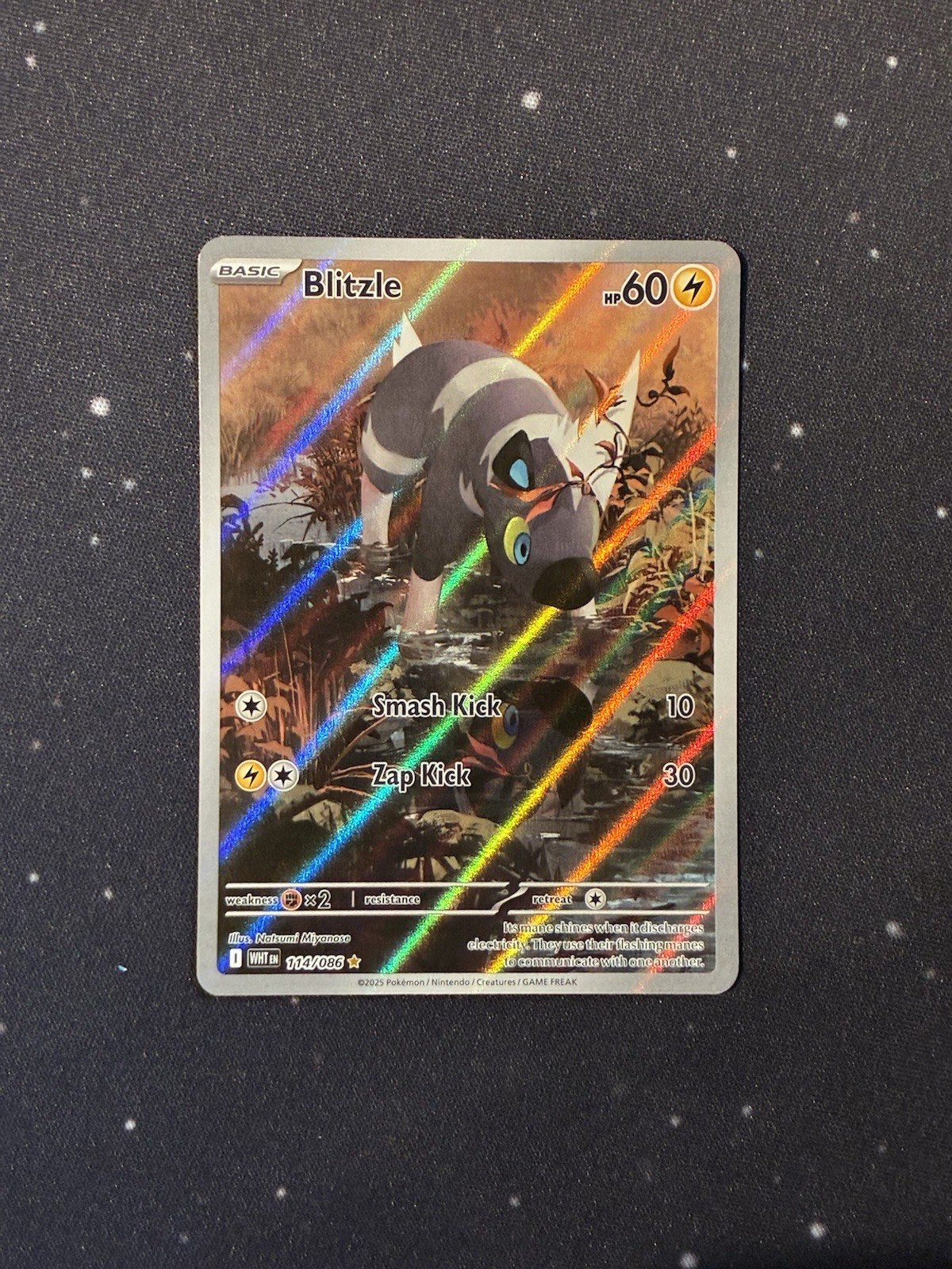 Blitzle 114/086 White Flare Illustration Rare Pokemon Card
