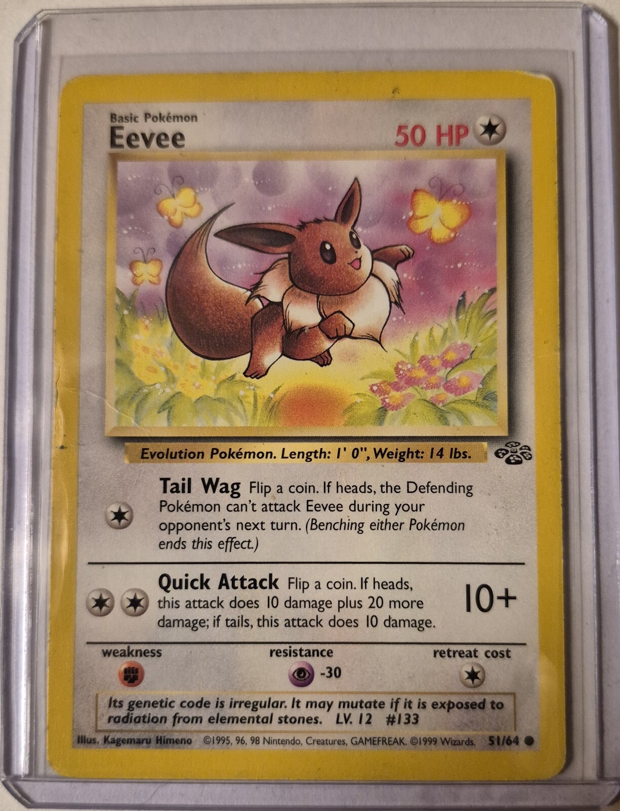 Eevee 51/64 Base Set Regular  Lightly Played
