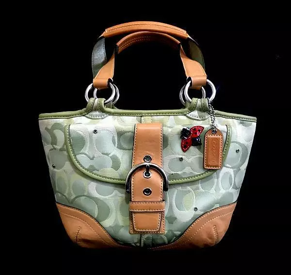 Coach ladybug gallery tote sale