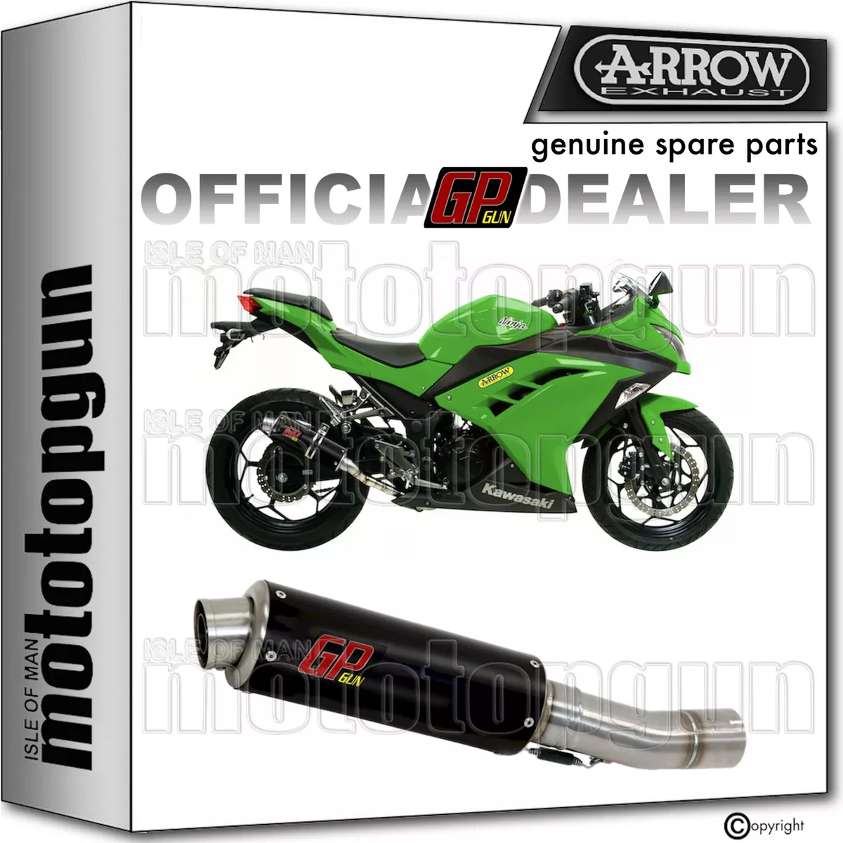 Kawasaki ninja top 250 2015