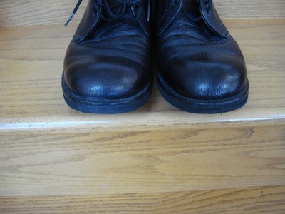 Alden Plain Toe Dover