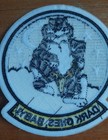 DARK ONES, BABY Grumman F-14 TOMCAT US Navy VF MILITARY BIKER Patch — photo 6
