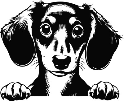 Peeking Puppy Image 16 Die Cut Vinyl Decal Sticker 42 different colors available