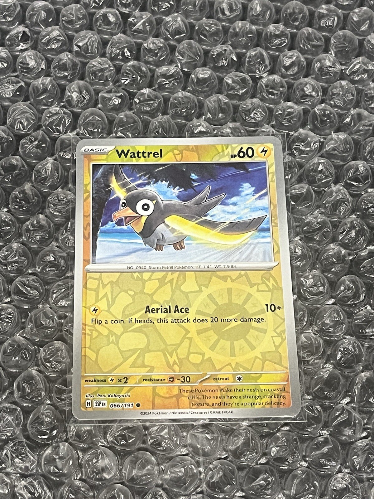 Wattrel 066 Sv08: Surging Sparks Reverse Holo Pokemon NM