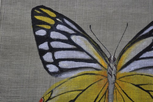 Lienzo de Penélope de punta pequeña pintada a mano mariposa común de Jezabel - Imagen 2 de 4