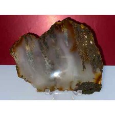 Moss Agate Slice !! Beautiful Slab of Moss Agate !!