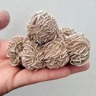 Desert Rose Gemstone Crystal Selenite Sand Rose Love Stone 3 inch (02)