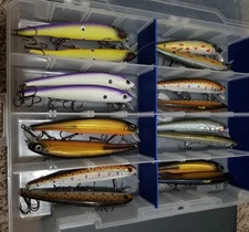 (16) Bass Pro Shops XPS Jerkbait Crankbait Fishing Lures