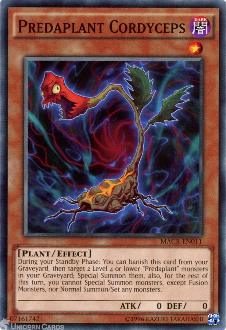 MACR-EN011 Predaplant Cordyceps Common UNL Edition Mint Yu-Gi-Oh! Card