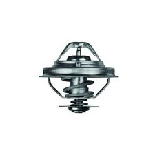 Thermostat Land Rover 110