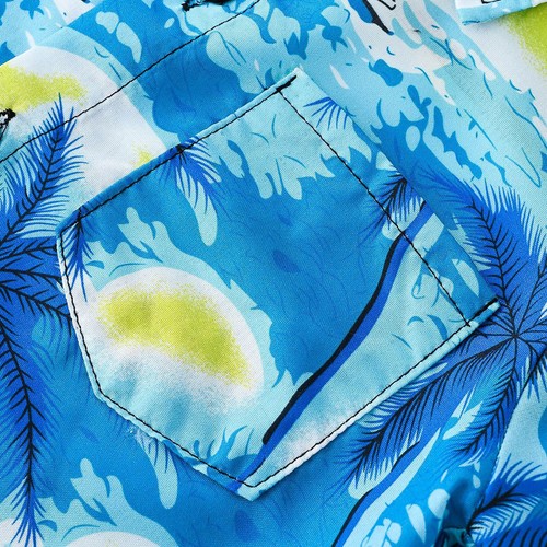 Boys Beachwear Soft Casualwear Casual Swimsuit Outfits Shorts Summer Shirt Hat - Picture 7 of 84