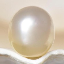 South Sea Pearl Cream Oval 13.69 mm NEW from Papua New Guinea 3.17 g undrilled