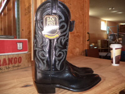 Dan Post DP2110J Boot