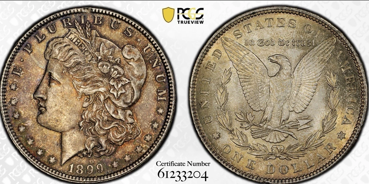 MS 63 Graded 1899 Year Morgan US Dollars (1878-1921) for sale | eBay