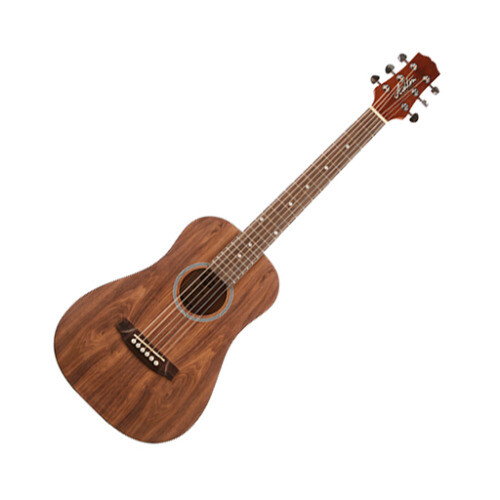 Ashton SL29/12CEQ Tsb 12 String Acou/Elec | eBay Australia