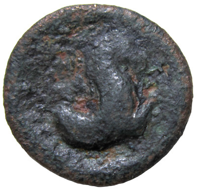 CILICIA, SELEUKEIA. AE 17. CIRCA 1st CENTURY BC. APOLLO/ FOREPART OF HORSE.