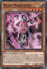 Yu-Gi-Oh: Bujin Mahitotsu - LIOV-FR012 - Commune - NM - FR