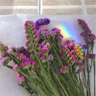 Bild 7 von 11