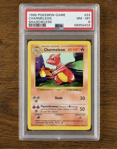 1999 Pokemon TCG Charmeleon Base Set Shadowless  #24/102 PSA 8
