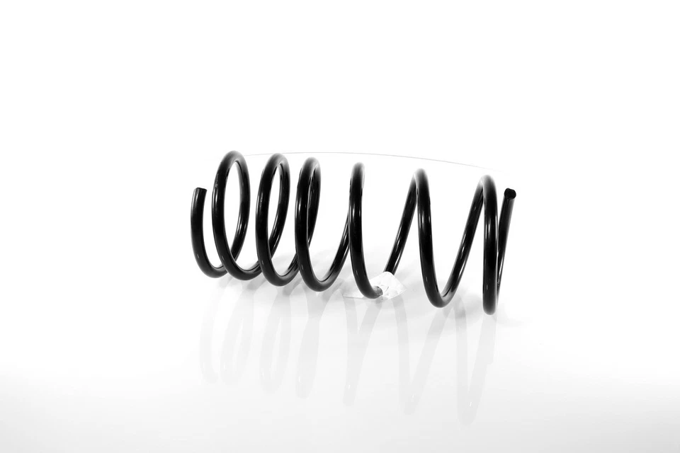 2x Coil Springs Rear Right and Left for Chrysler 300M 1998-2004 — 第 2/4 张图片