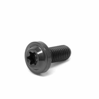 m5 x 15 Titanium Flachkopf Schraube Torx T25 x 0.8 Ti Unterlegscheibe Schwarz