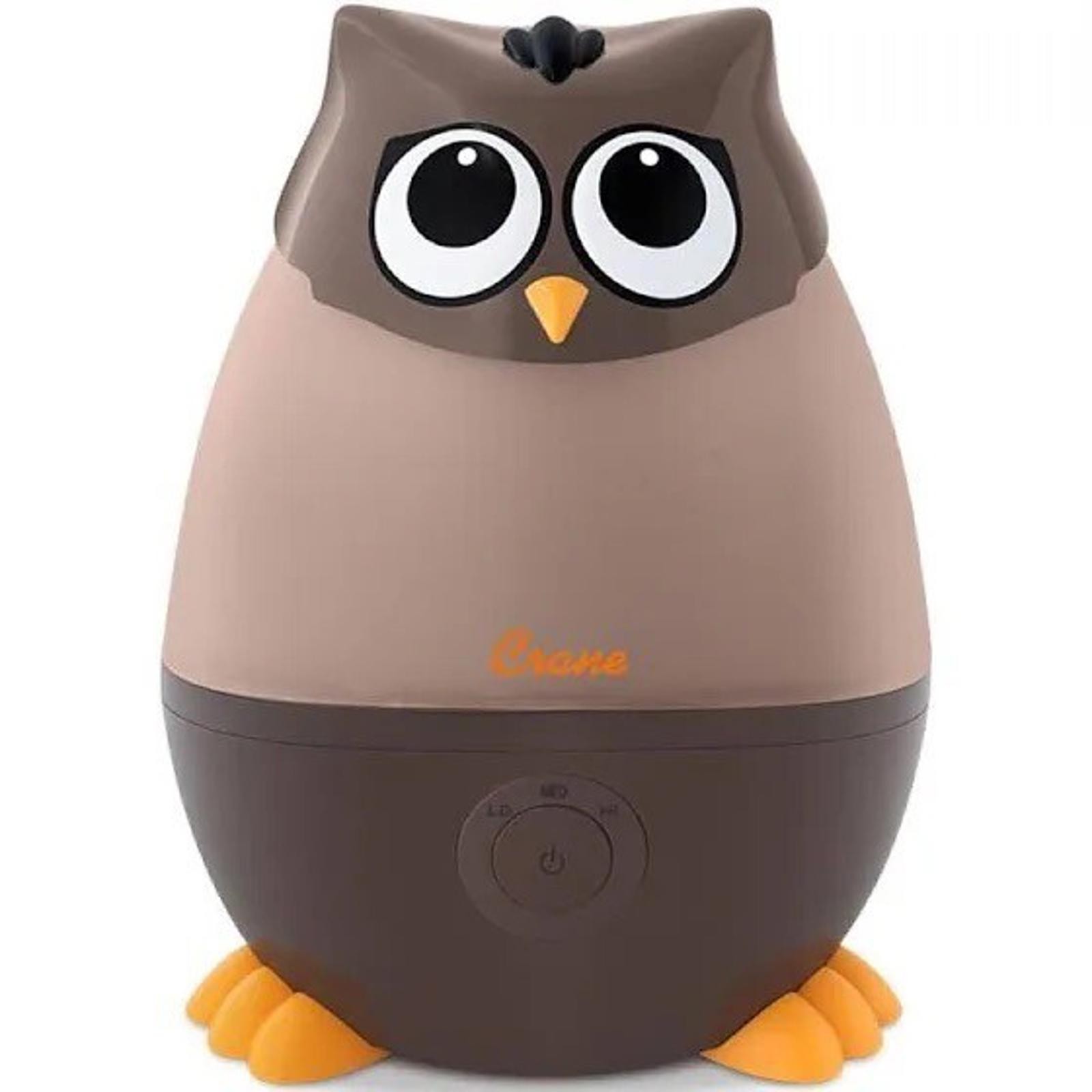 0.5 Gal Ee-8259 Brown Kids Room