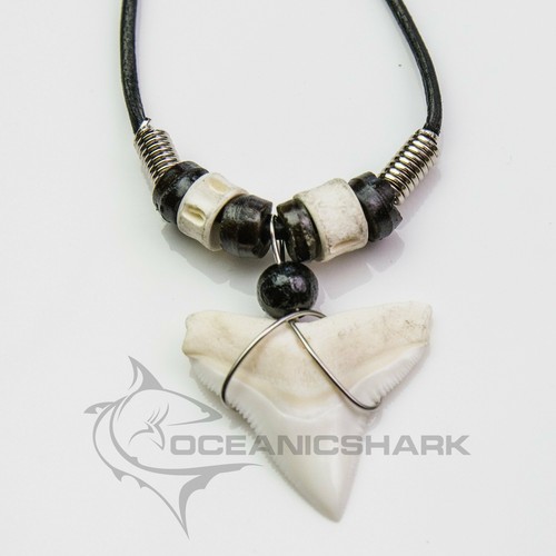 Bull shark Carcharinus leucas tooth necklace c180 - 第 1/3 張圖片