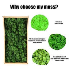 _Preserved Decorative Moss Durable Natural Preserved Moss For Home Decorations