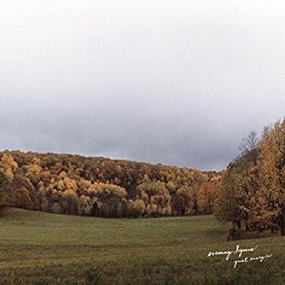 Evening Hymns Quiet Energies (Vinyl) (US IMPORT)