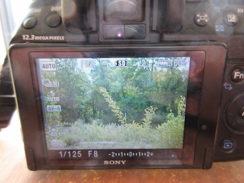 Sony Alpha 500 DSLR-A500 Digitale SLR Kamera in OVP + 2x Objektiv - Bild 14 von 19