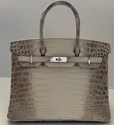 albino crocodile birkin