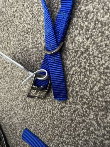 canac collar blue - Picture 3 of 3