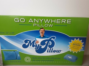 go anywhere pillow