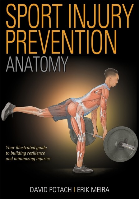 Sport Injury Prevention Anatomy by David Potach (Paperback Book)