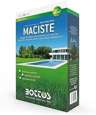 Bottos - MACISTE - Sementi per tappeto erboso - Ideale per zone aride - 1 Kg