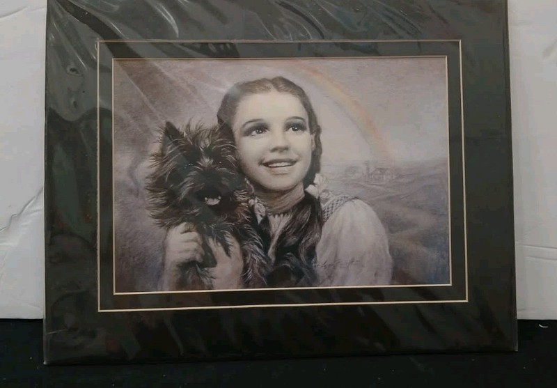The Wizard Of Oz Framed 14"x11" Photo Dorothy Holding Toto