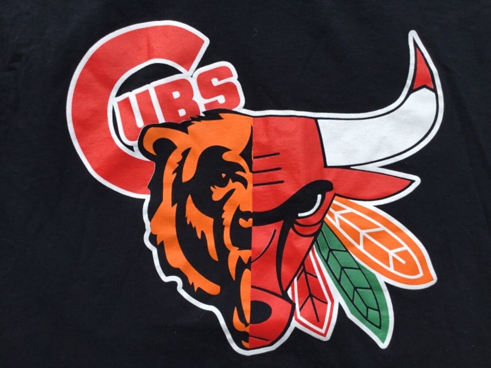chicago bears bulls