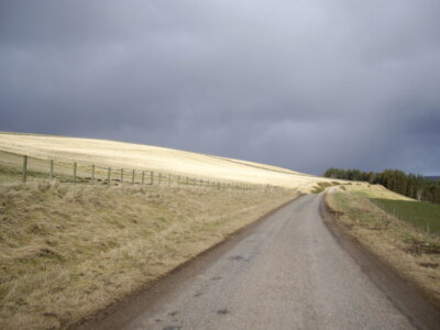 Photo 6x4 Sunlit field 'neath a leaden sky Cabrach/NJ3827 A near Syrian- c2009