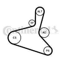 Original Continental Ctam Keilrippenriemensatz 6DPK1195K2 FüR Audi Ford Seat