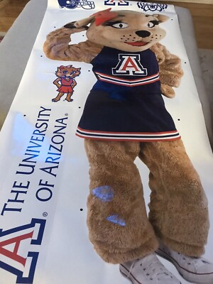 University Of Arizona Tucson Mascot ~ Wilma Wildcat ~ Vinyl Decal | eBay