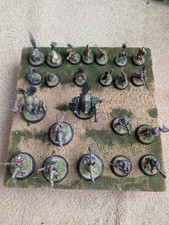 Warmachine Mercenaries army (Metal, painted to a high level)