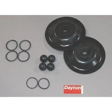 Dayton 6Py67 Pump Repair Kit,Fluid