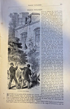 1873 Messenger Pigeons Illustrations