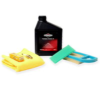 Service Kit FüR Briggs & Stratton Powerbuilt Ohv, I/C OHV 7,8-10 Motoren 992236
