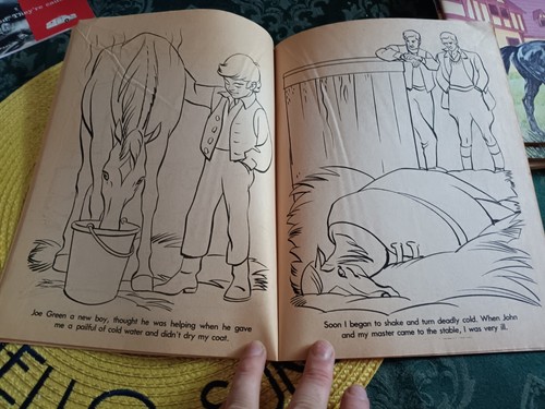 1978 Black Beauty Coloring Book by Helen Rudin New. Unused  - Bild 2 von 3