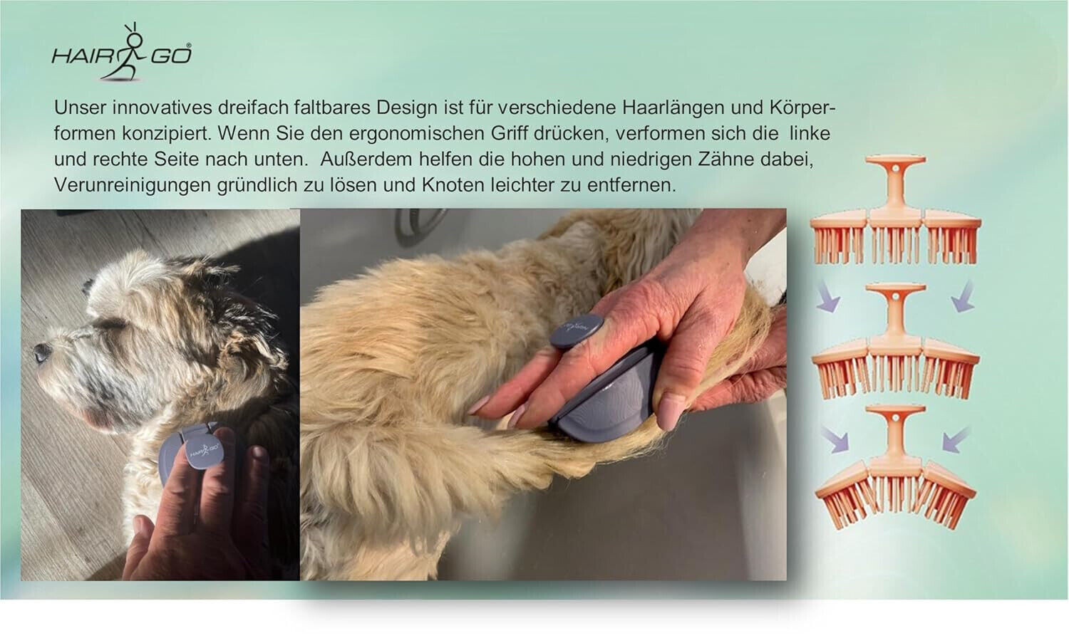 Bild 3 von 9