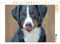 Calvendo Puzzle Appenzell Mountain Dog | 1000 Pieces, Finished Size 25.2 × 18.9