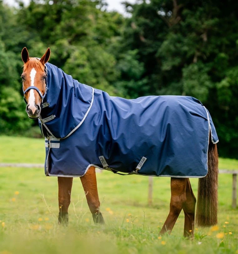 Horseware Amigo Ripstop 900D Plus Turnout 100g Weide Decke mit Halsteil navy/tit - Bild 3 von 4