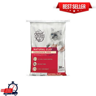 Special Kitty Unscented Non-Clumping Natural Clay Litter, 20 lbs ( Pack of 1 )